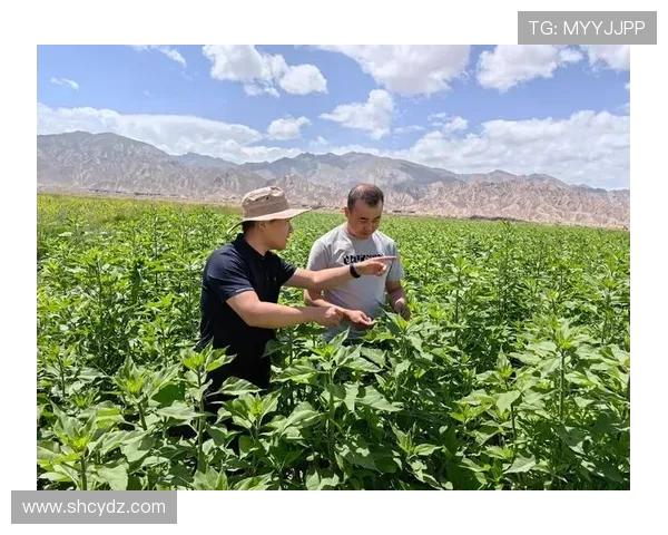 九台农商银行助力乡村振兴战略打造金融新引擎推动区域经济高质量发展 九台农商银行助力乡村振兴战略打造金融新引擎推动区域经济高质量发展