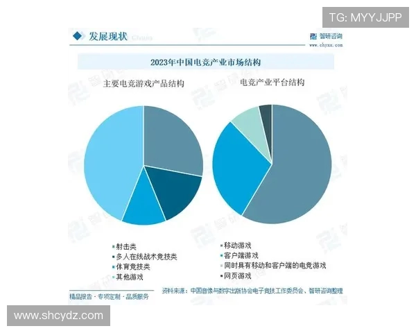 聚焦电竞产业发展探讨数字竞技时代的机遇与挑战 聚焦电竞产业发展探讨数字竞技时代的机遇与挑战