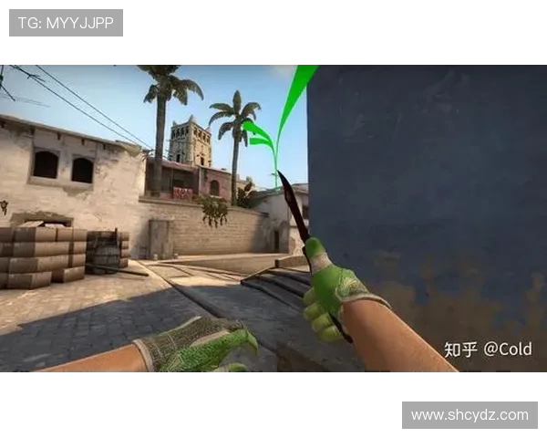 CSGO战术解析：深入探讨WE战队的游戏节奏与策略运用