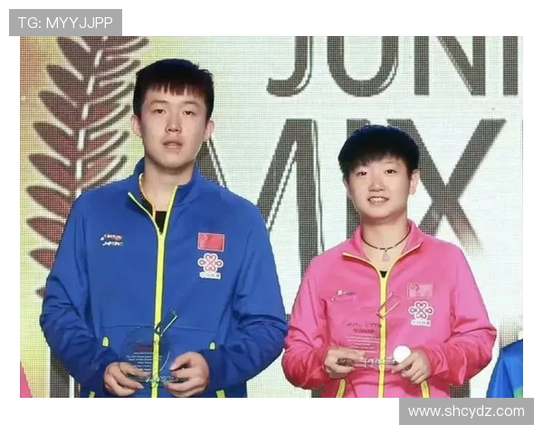 乒乓球盛宴：深入上海乒乓球队的训练与荣耀之路