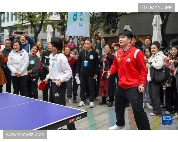 成都乒乓球队技术争议引发热议球迷与专家观点交锋激烈