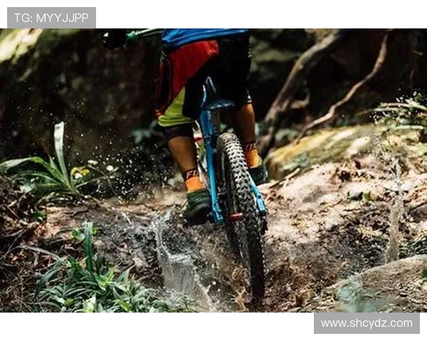 极限运动新手必看：从耐力训练开始的全面入门指南