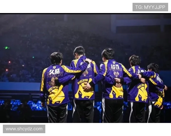 武汉排球队逆袭之路：从低谷到巅峰的奋斗与荣耀