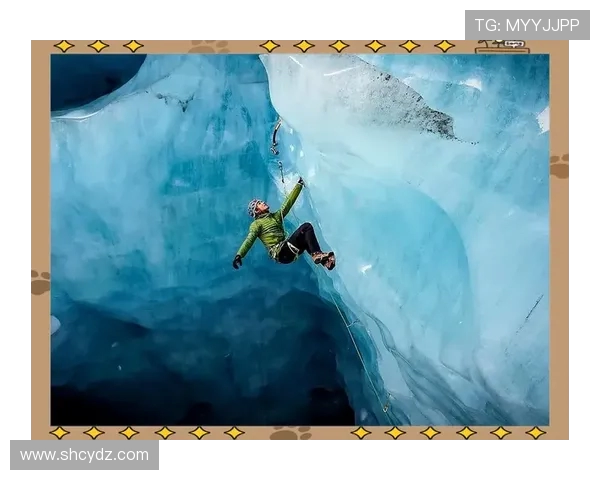 深圳极限运动队灵活性变革引发热议探索新趋势与挑战