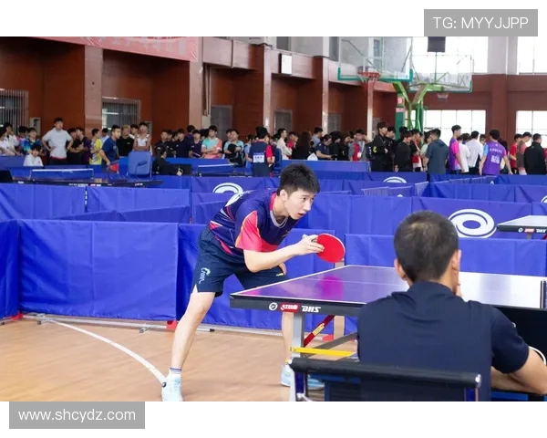 赛后分析：西安乒乓球队与成都乒乓球队状态对比及表现评估