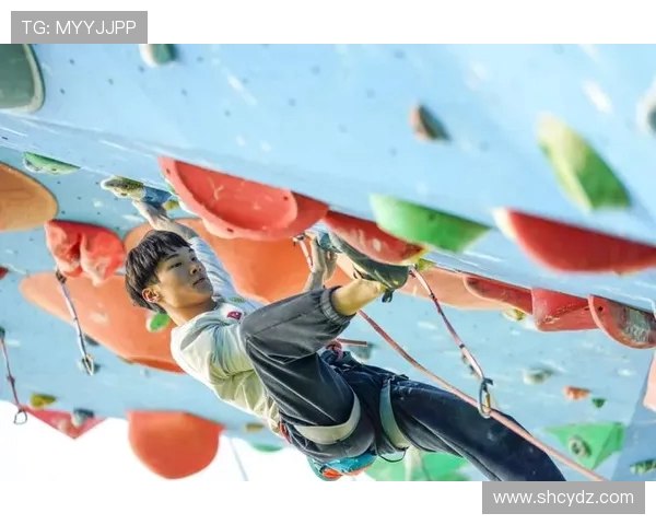 重庆攀岩队实力解析与各队员表现对比的深度剖析