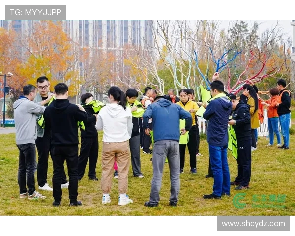 飞盘竞技的魅力：深入南京飞盘队的战术与技术解析