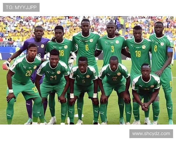 塞内加尔与埃及男篮激战正酣谁能在非洲杯中笑到最后 塞内加尔与埃及男篮激战正酣谁能在非洲杯中笑到最后